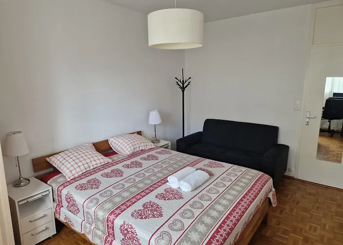 Room In Shared Apartment Geneva