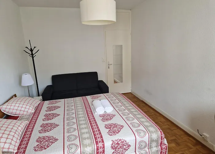 Room In Shared Apartment Geneva